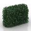 Bush