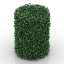 Bush