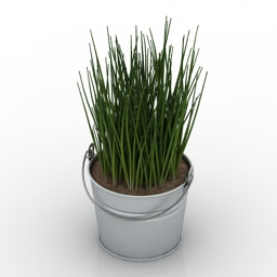 3D Bucket preview