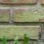 Brick