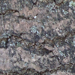 Bark