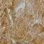 Stucco