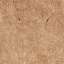 Cardboard