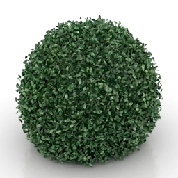 3D Bush preview