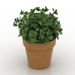 3D Mint preview