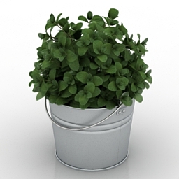 3D Mint preview