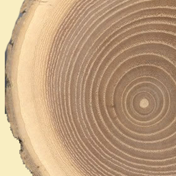 Log