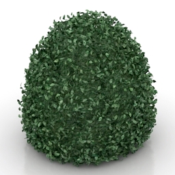 3D Bush preview