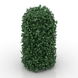 3D Bush preview