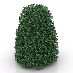3D Bush preview
