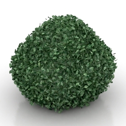 3D Bush preview
