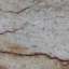 Bark