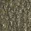 Bark