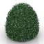 Bush