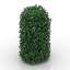 Bush
