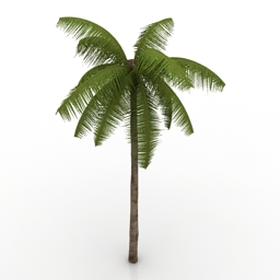 palm 3D Model Preview #633afaf2