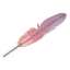 Feather