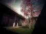 architecture home design