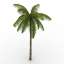 Palm
