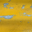 Paint