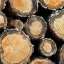 Logs