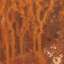 Rust