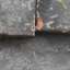 Tile