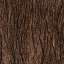 Bark