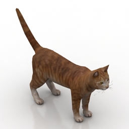 cat 3D Model Preview #c8d12545