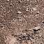 Ground