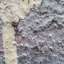 Stucco