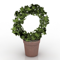 ivy 3D Model Preview #777a6023