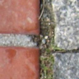 Paving