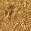 Sand