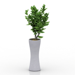 plant 3D Model Preview #f3ff3625