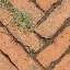 Paving