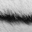 Fur