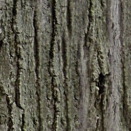 Bark