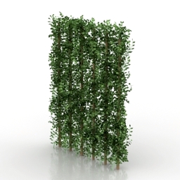 3D Bush preview