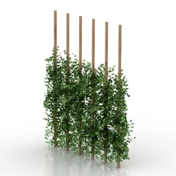 3D Bush preview