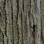 Bark
