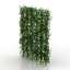 Bush