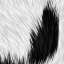 Fur