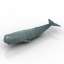 Sperm whale