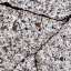 Granite