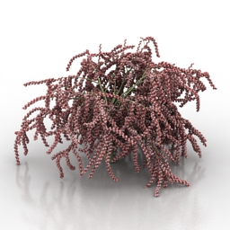 bush spirea 3D Model Preview #013a956e