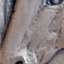 Bas-relief