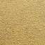 Cardboard
