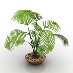 plant 3D Model Preview #02d61899