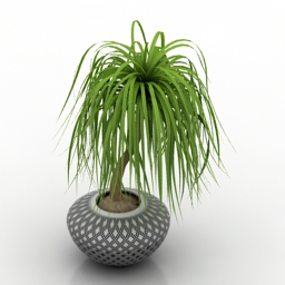 3D Plant preview